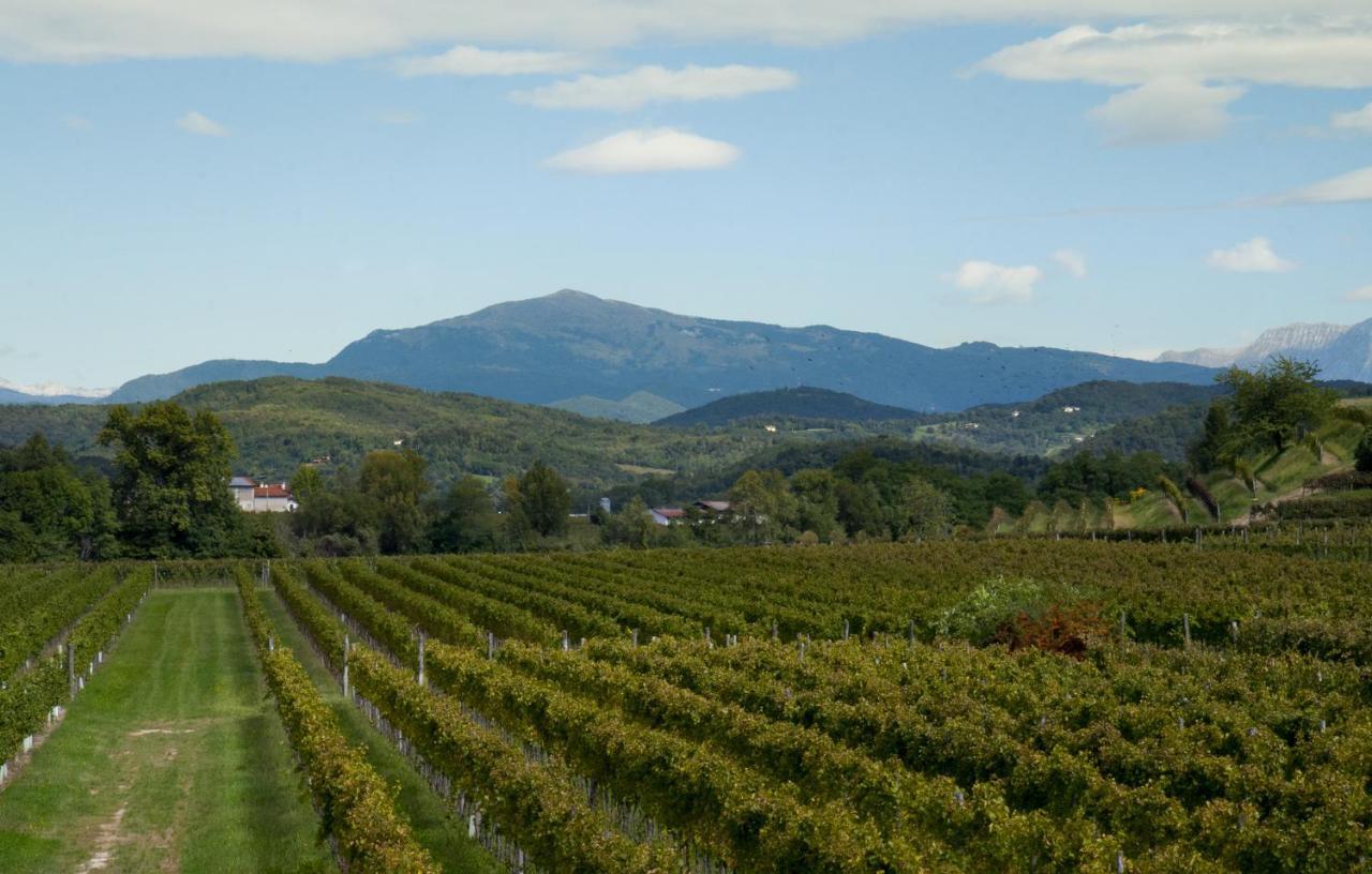 Alloggio Agrituristico Corte San Biagio Corno di Rosazzo Exteriör bild