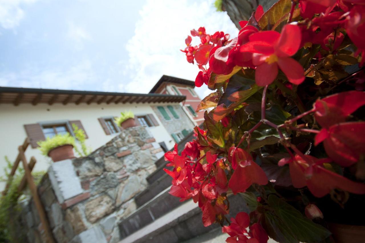 Alloggio Agrituristico Corte San Biagio Corno di Rosazzo Exteriör bild