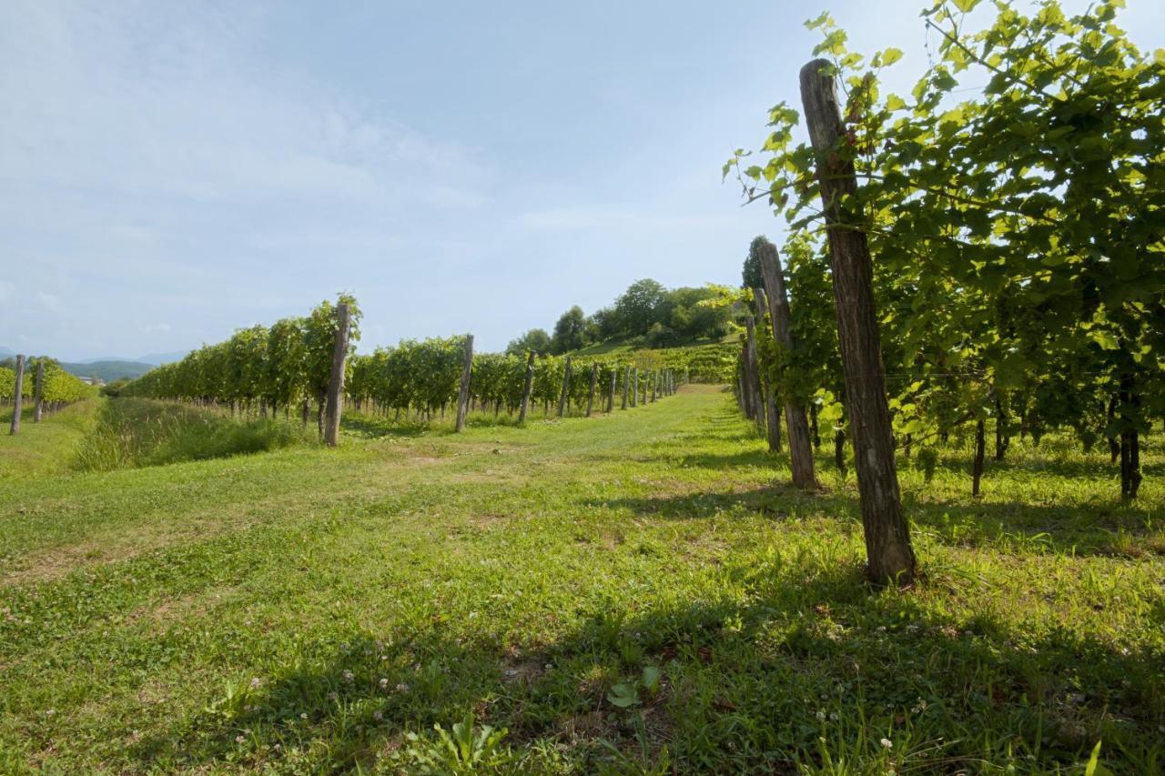 Alloggio Agrituristico Corte San Biagio Corno di Rosazzo Exteriör bild